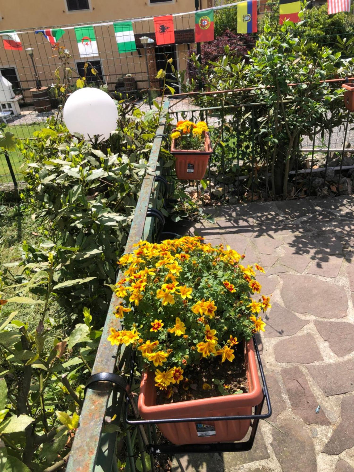 Villa La Primula Vicinanza 5 Terre Riccò del Golfo di Spezia Exterior foto